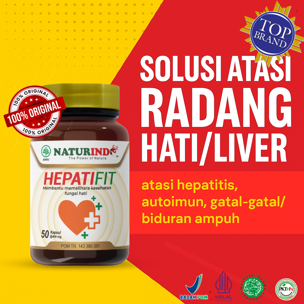 HEPATIFIT herbal Liver / Radang Hati, terapi penyakit liver