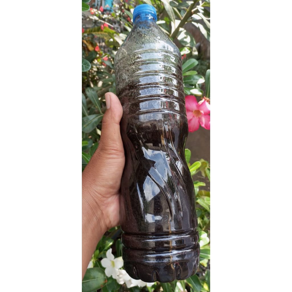 pupuk organik cair guano kotoran kelelawar 1 liter