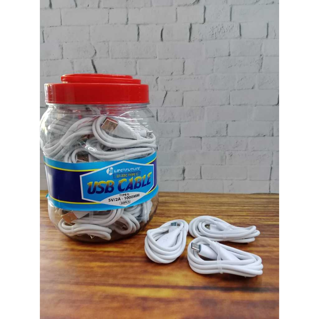 USB CABLE LIFE FUTURE 22C TYPE C