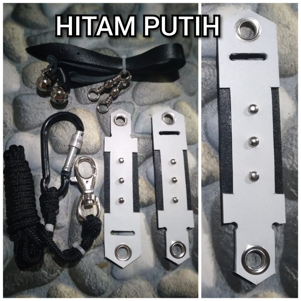 Tali kaki/Angjes burung hantu bubo sumatranus