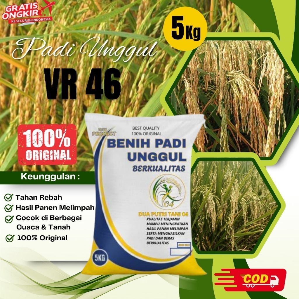 bibit PADI VR 46 kemasan 5kg