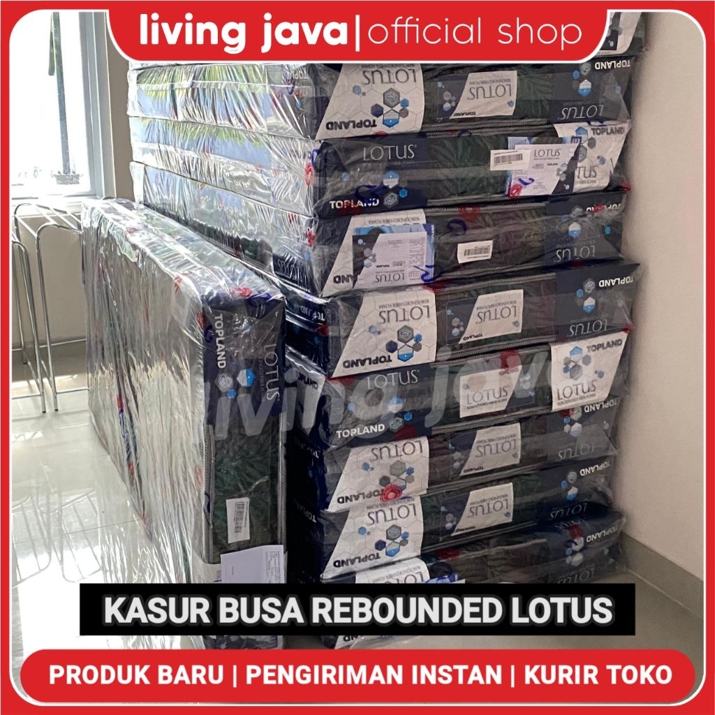 KASUR BUSA LOTUS KASUR BUSA REBOUNDED