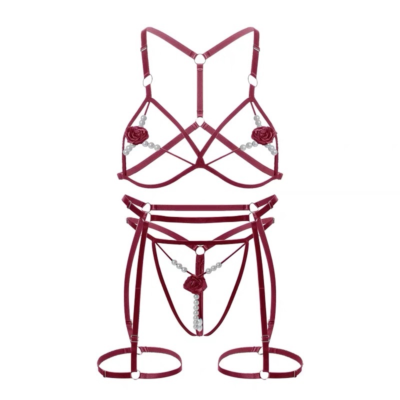 Sinful Rose Lingerie Bra Garter Set - Samantha Intimates