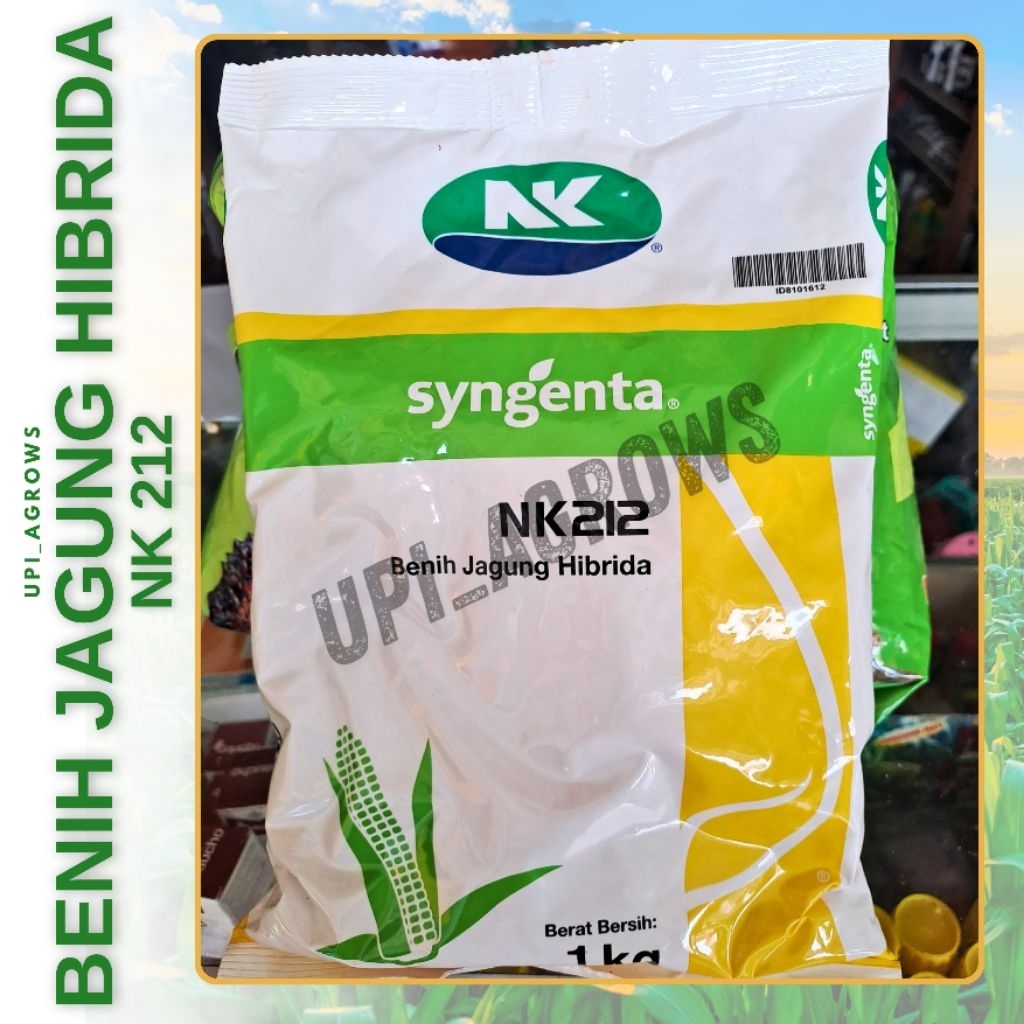 Benih Jagung NK 212