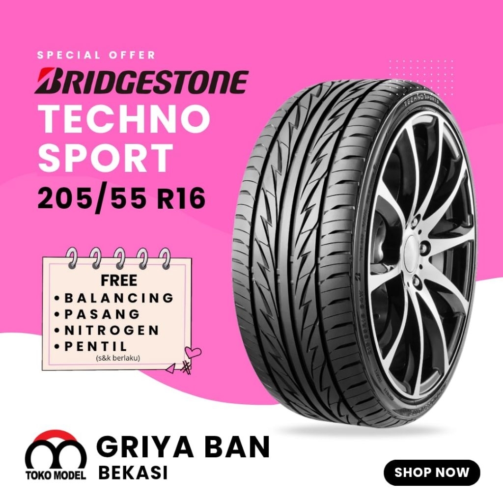 Bridgestone Techno Sport 205/55 R16