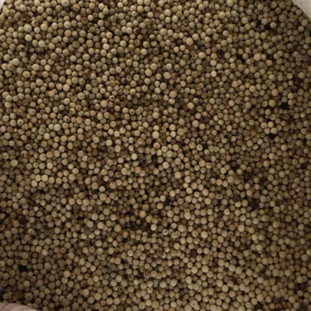 LADA PUTIH BUTIR 1KG (Merica)