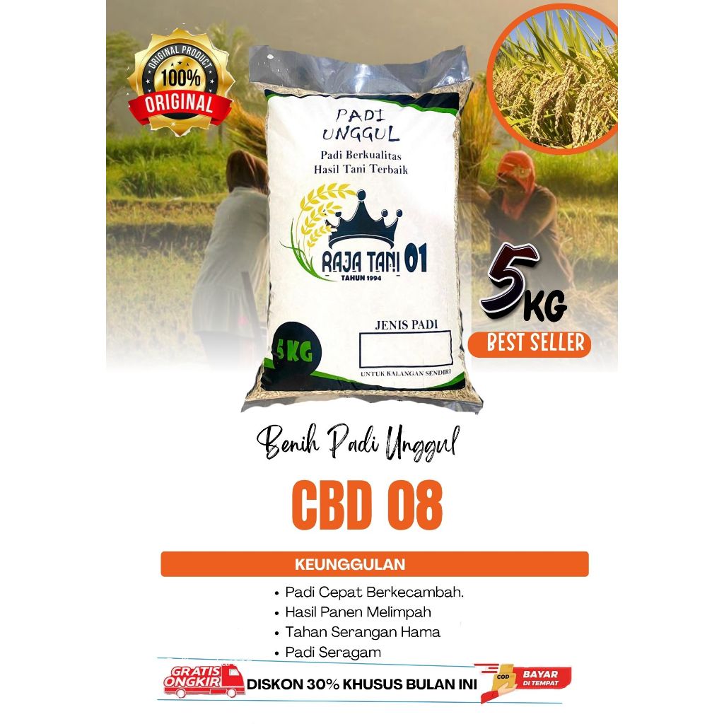Benih Padi Unggul CBD 08 Original Kemasan 5 Kg