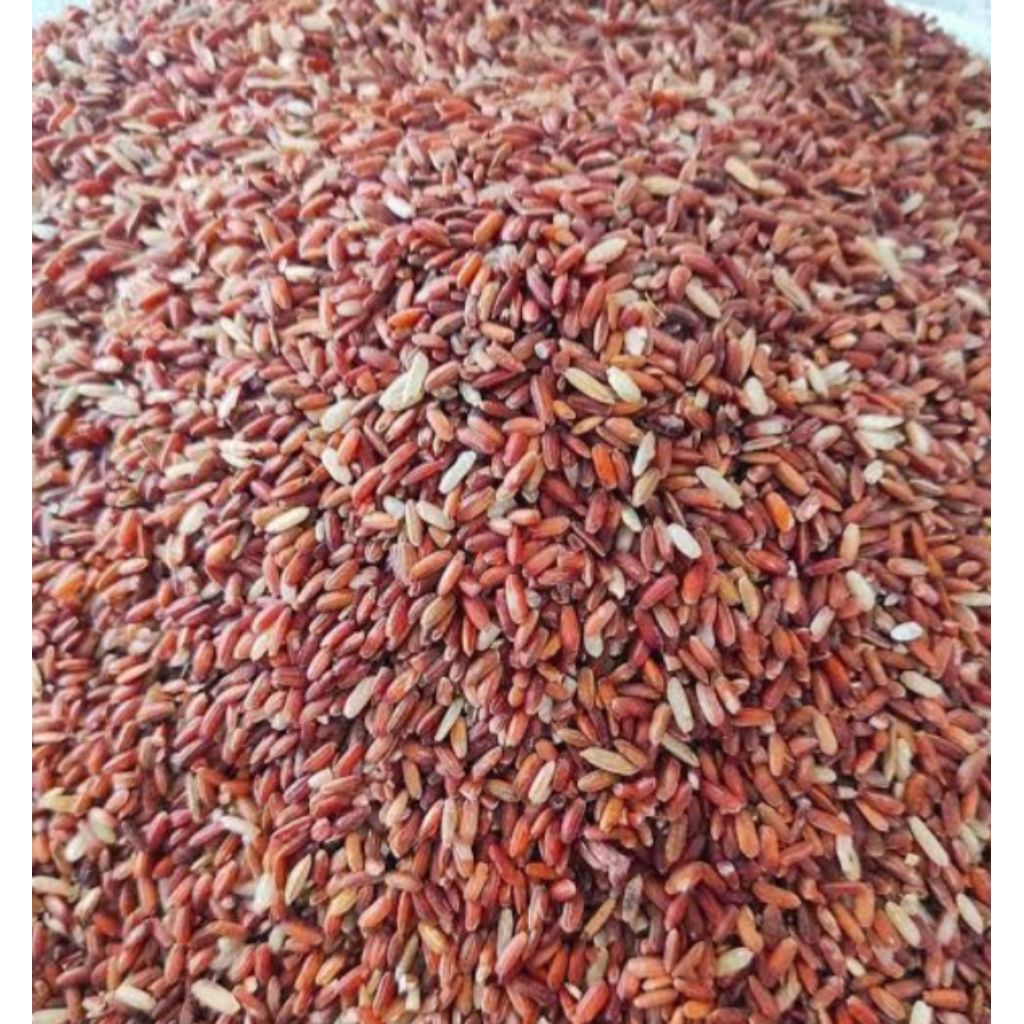 beras padi merah pakan ayam