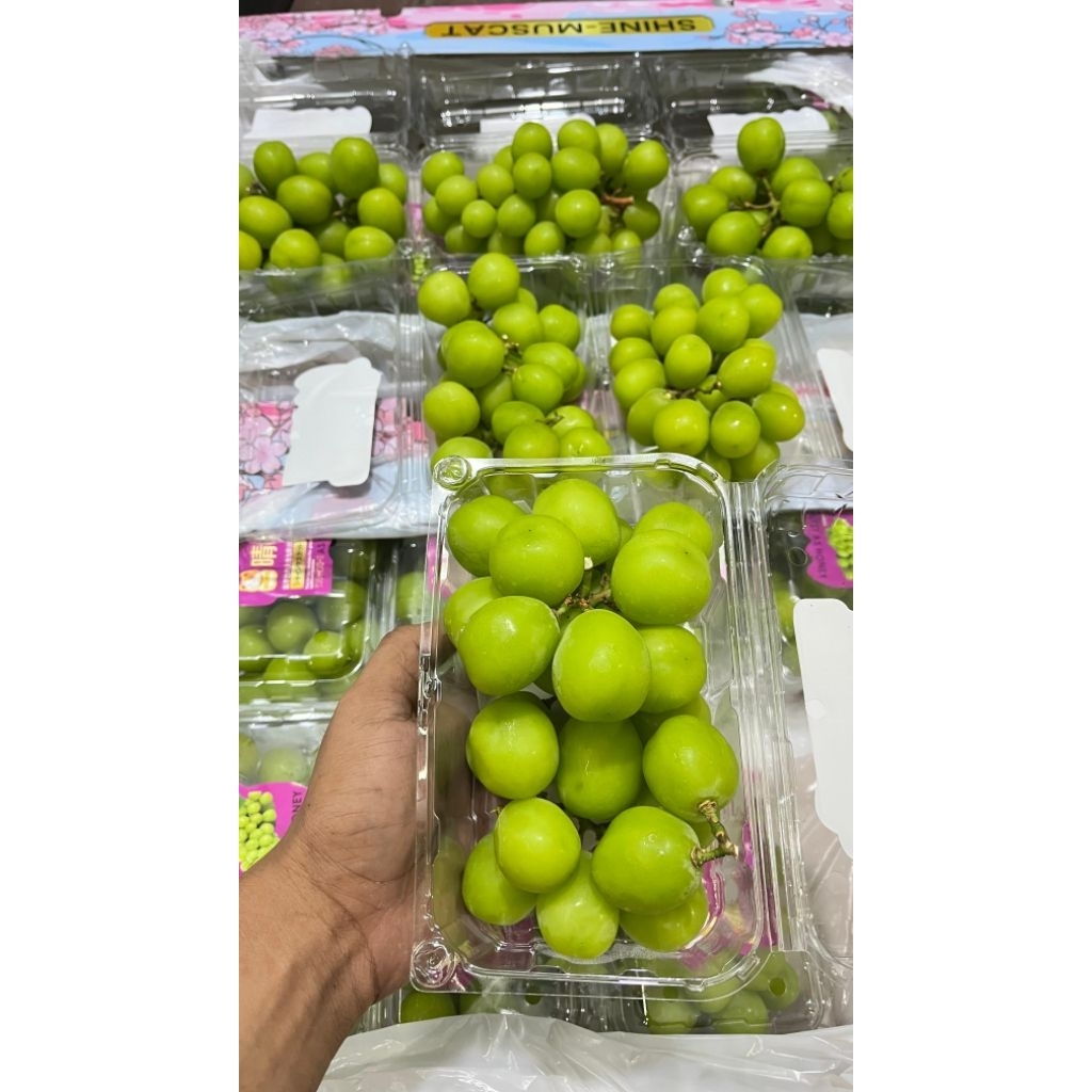 Anggur  Shine Muscat 1Dus 10 pack