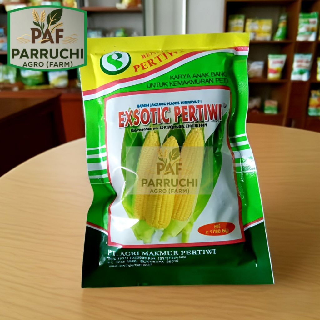 BENIH JAGUNG PERTIWI EXOTIC F1 (JAGUNG MANIS)