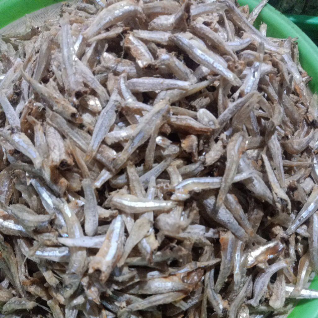 Teri Jengki/ Rebus