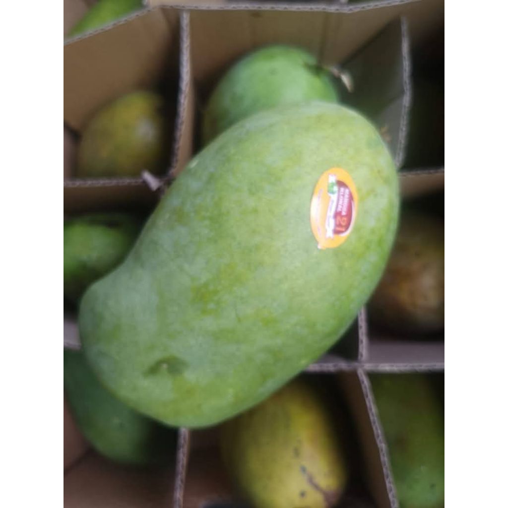 Mangga Alpukat 1 Kg