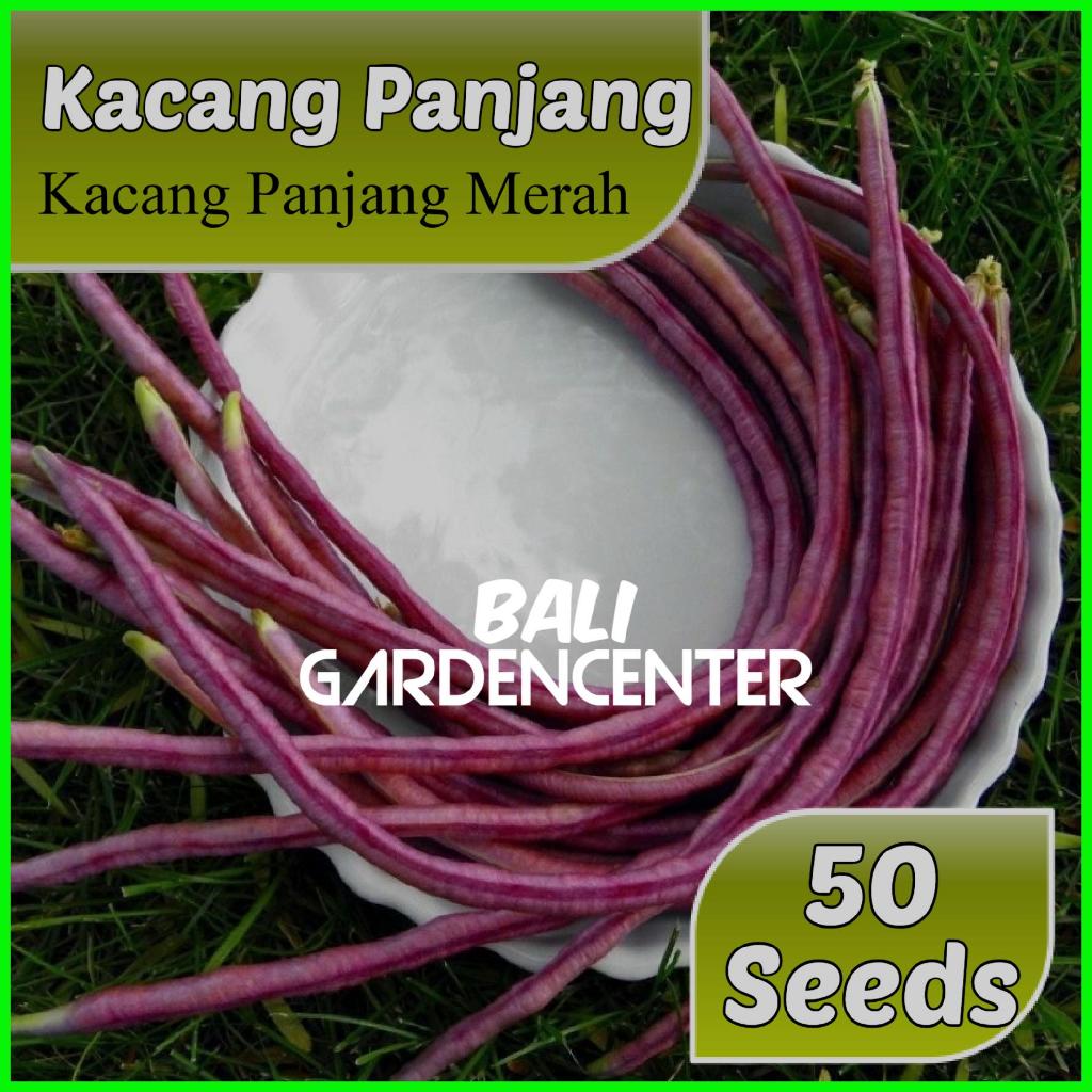 Isi 50 Benih Biji Kacang Panjang - Kacang Panjang Merah
