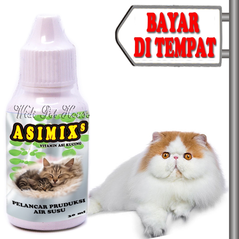Vitamin Menyusui Kucing Pelancar Air Susu Asimix