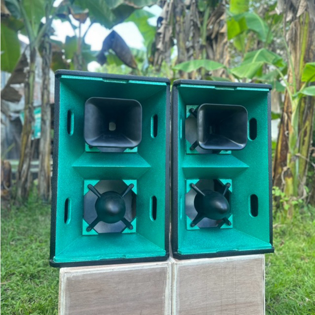 Box T24n /M24n 12 Inch Bahan Super Bagus By M. Exoaudio