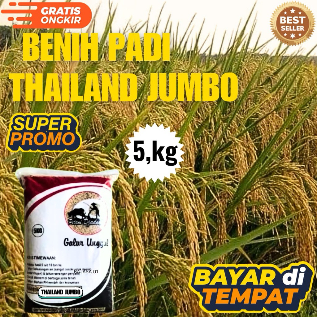 BENIH PADI THAILAND JUMBO KEMASAN 5,kg BENIH PADI KUALITAS GENJAH ORIGINAL