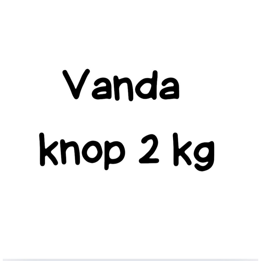 PROMO Vanda spike/knop ada calon bunga tanaman anggrek hias anggrek vanda anggrek wangi