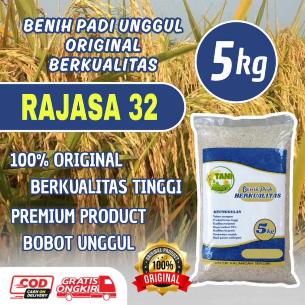 Benih padi RAJASA 32 benih padi original kemasan 5kg
