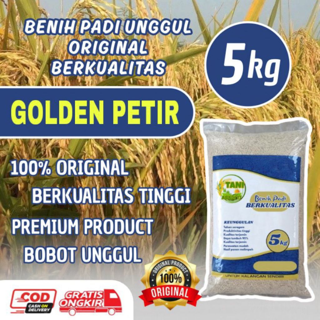 benih padi GOLDEN PETIR benih berkualitas kemasan5kg