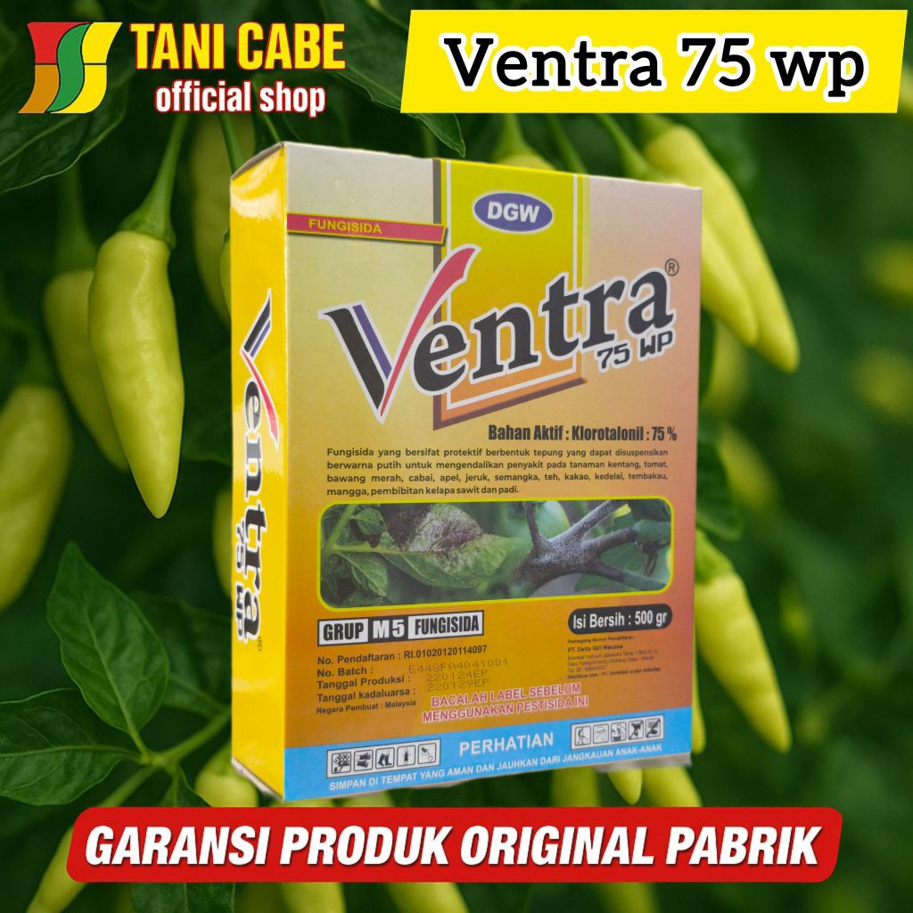 Fungisida ventra 500 GRM klorotalonil dgw