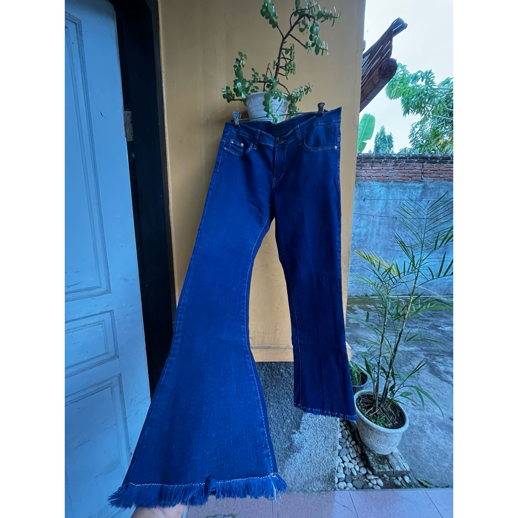 PL jeans cutbray