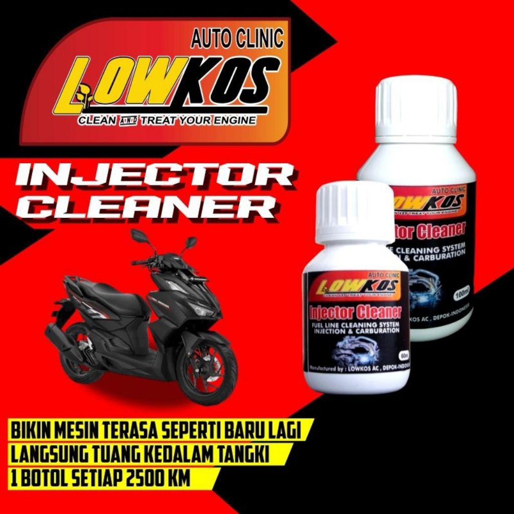 lowkos injector cleaner motor