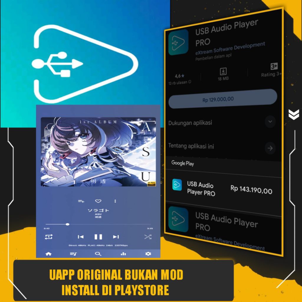 UAPP USB AUDIO PLAYER PRO
