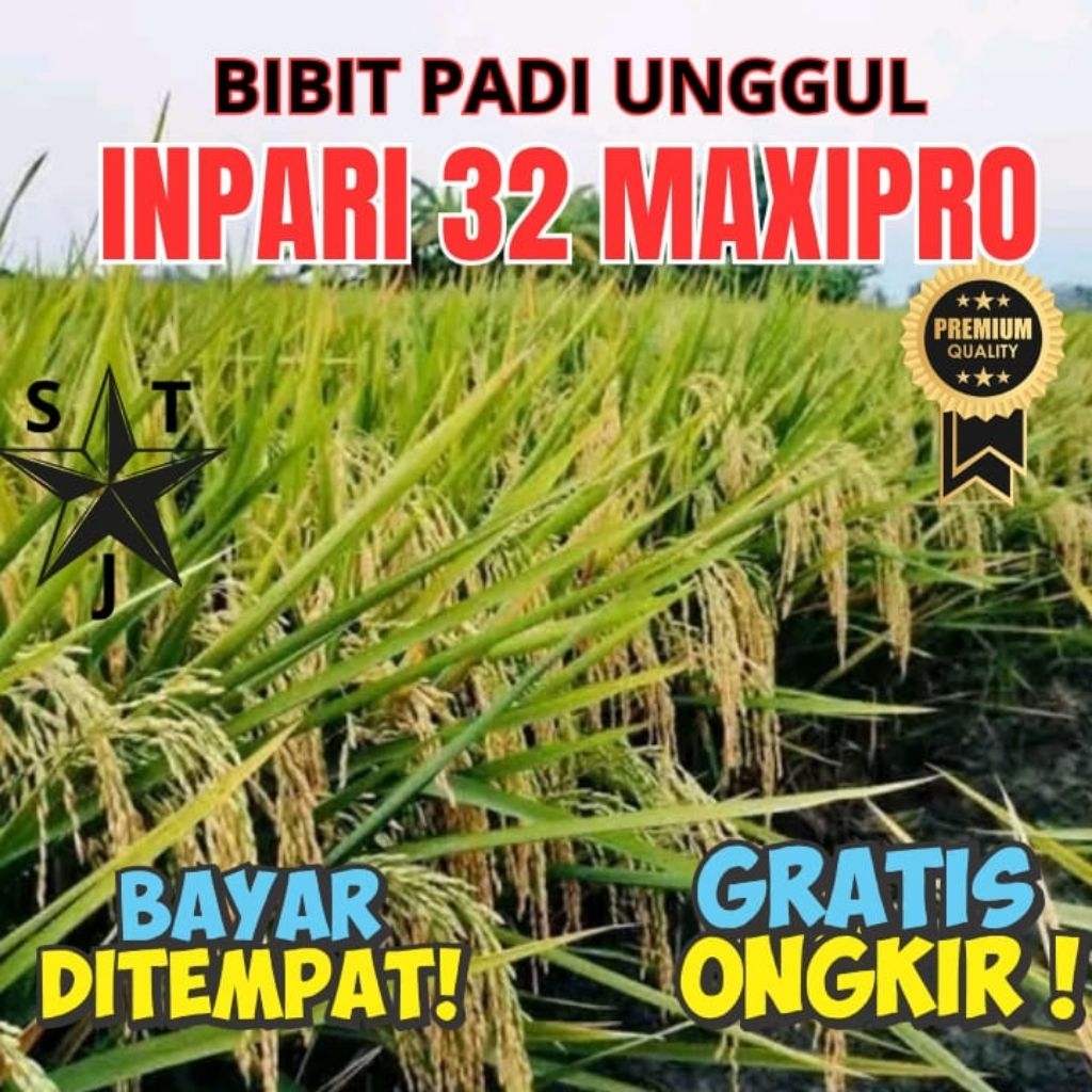 Bibit unggul padi inpari 32 maxipro kemasan 10kg