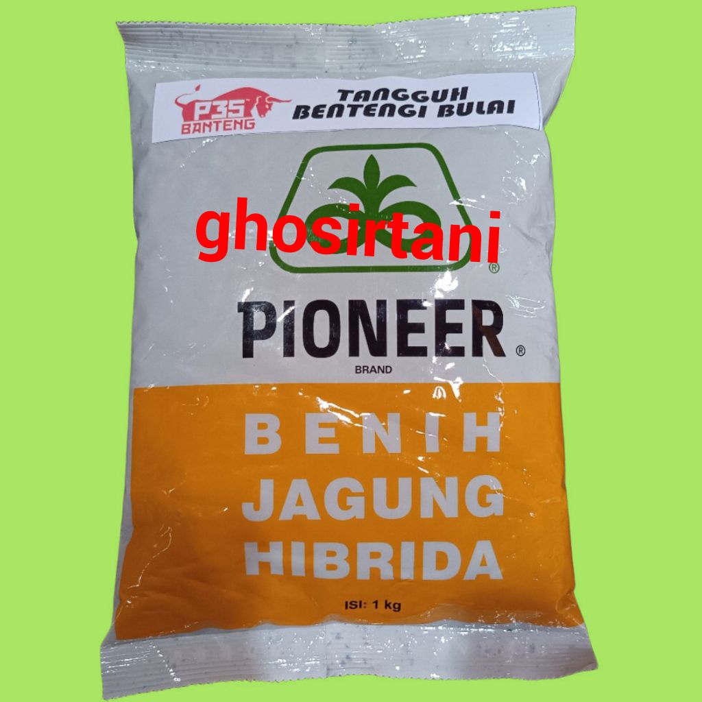 BENIH JAGUNG HIBRIDA PIONEER P35 1KG