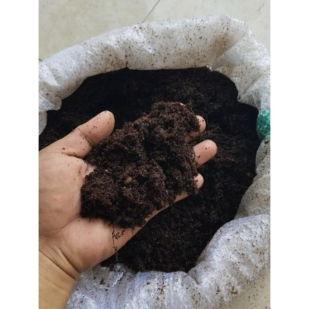 Pupuk gunao organik kohe kelelawar murni 100% tanpa campuran