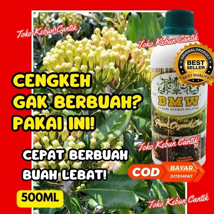 100% ORI POC BMW Pupuk Organik Cair 500ml Penyubur Tanaman Cengkeh – Perangsang Bunga & Buah Lebat, 