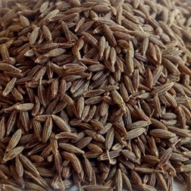 JINTEN  1KG /Bumbu Rempah