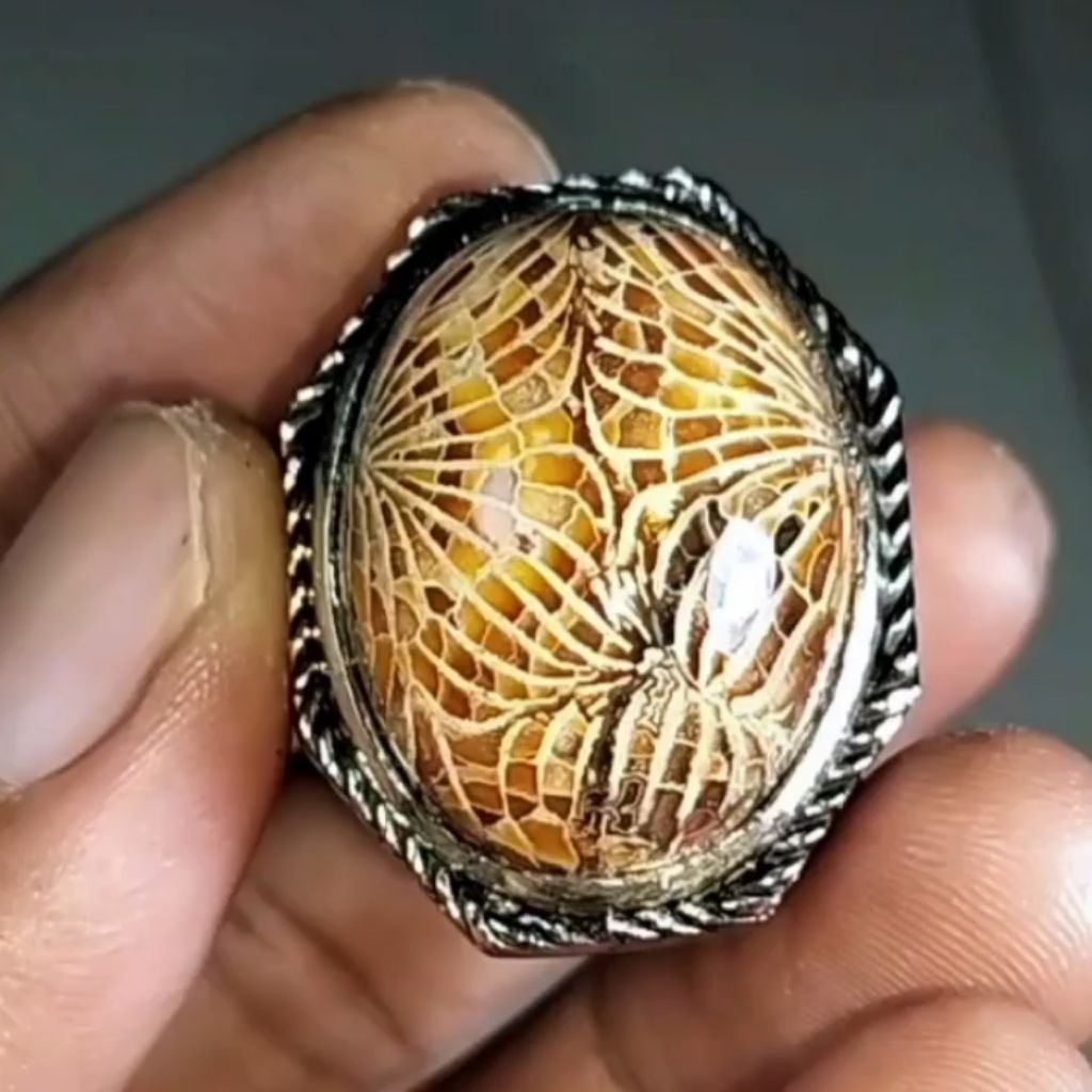 batu akik teratai lipan serat rapi