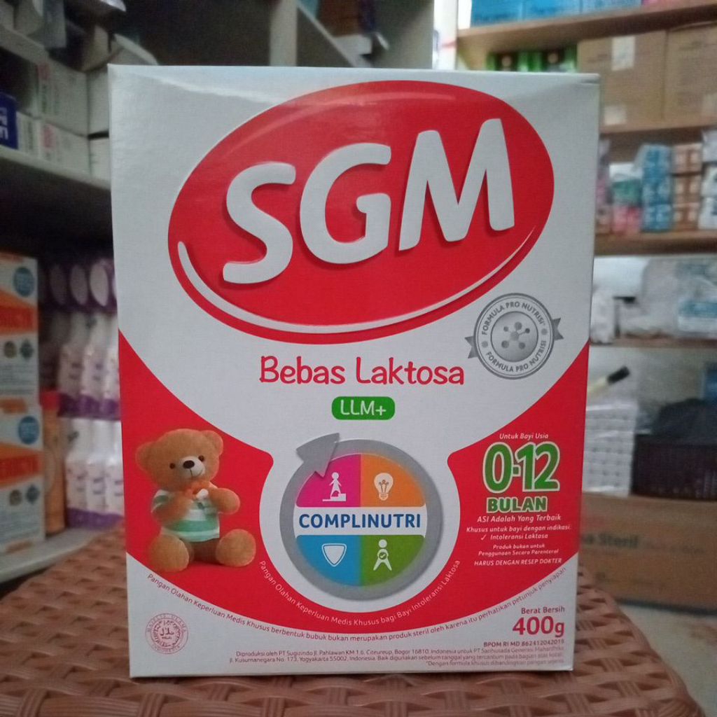 SGM LLM