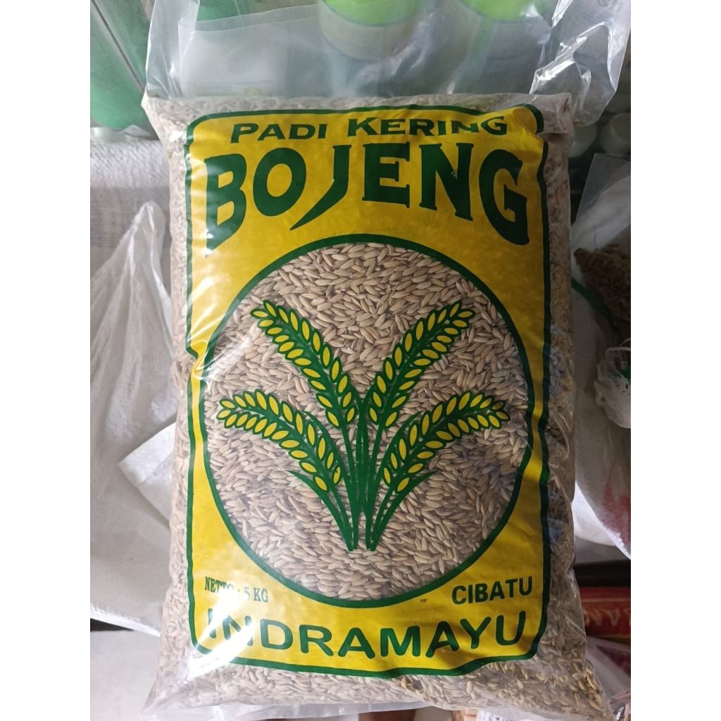 Gabah Benih Padi Bojeng Cibatu 5 KG | Favorit Petani Jawa Barat