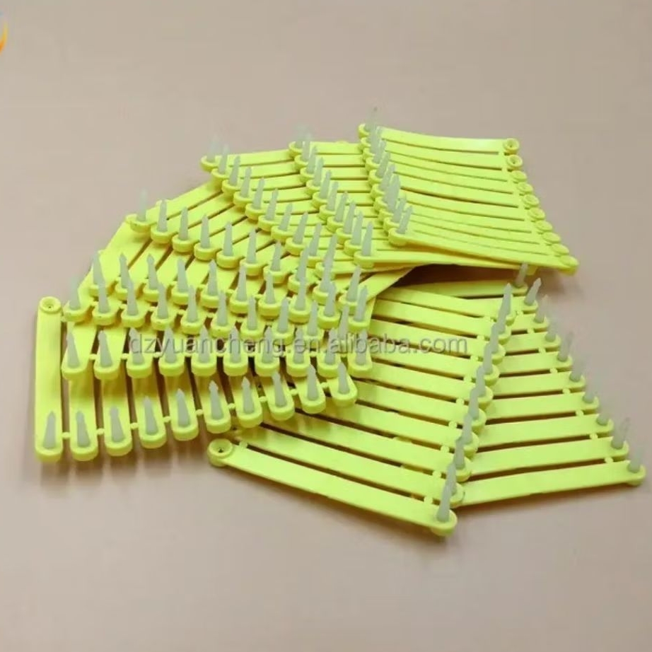 WING BAND AYAM IMPORT WINGBAND SAYAP AYAM RING POLOS 1SET ISI 15BIJI