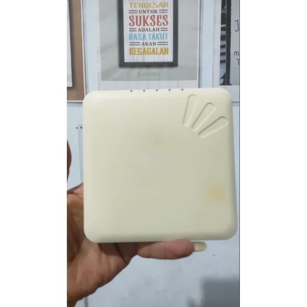 RUCKUS ZoneFlex R300 Access point