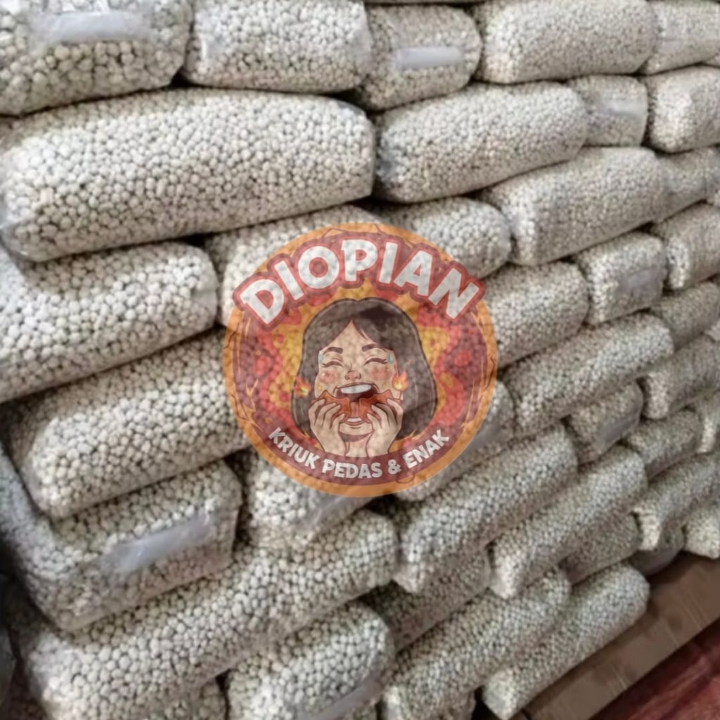 pilus cikur 5kg / pilus cikur 1 bal / pilus cikur termurah