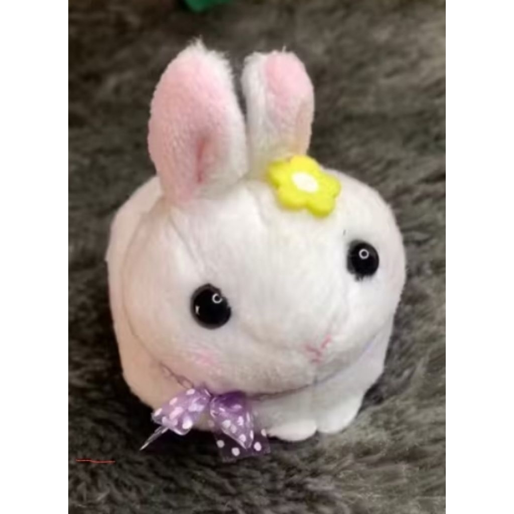 ganci amuse