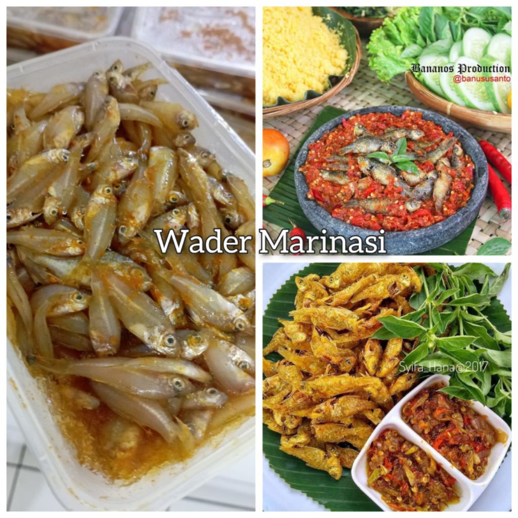 Ikan wader marinasi kemasan box 500gr (Frozen)