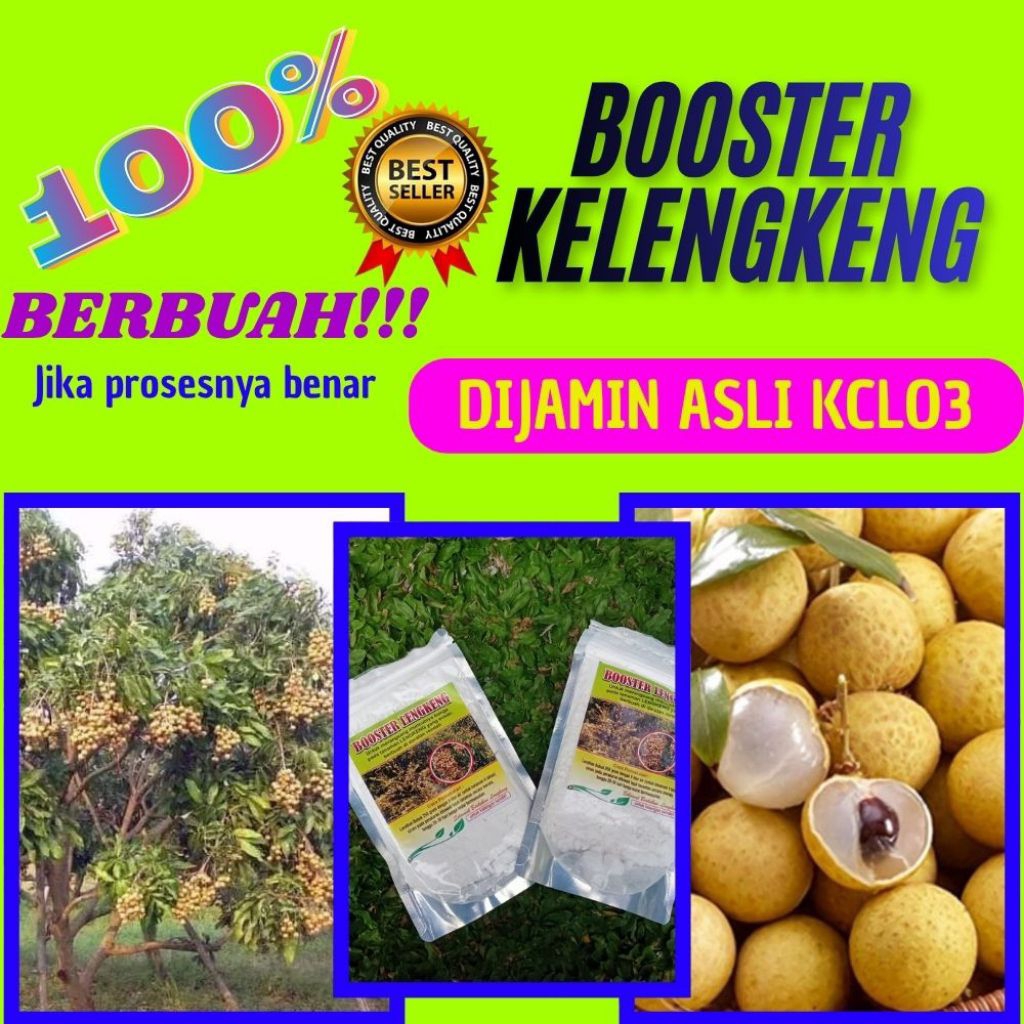 Pupuk Kelengkeng Kclo3