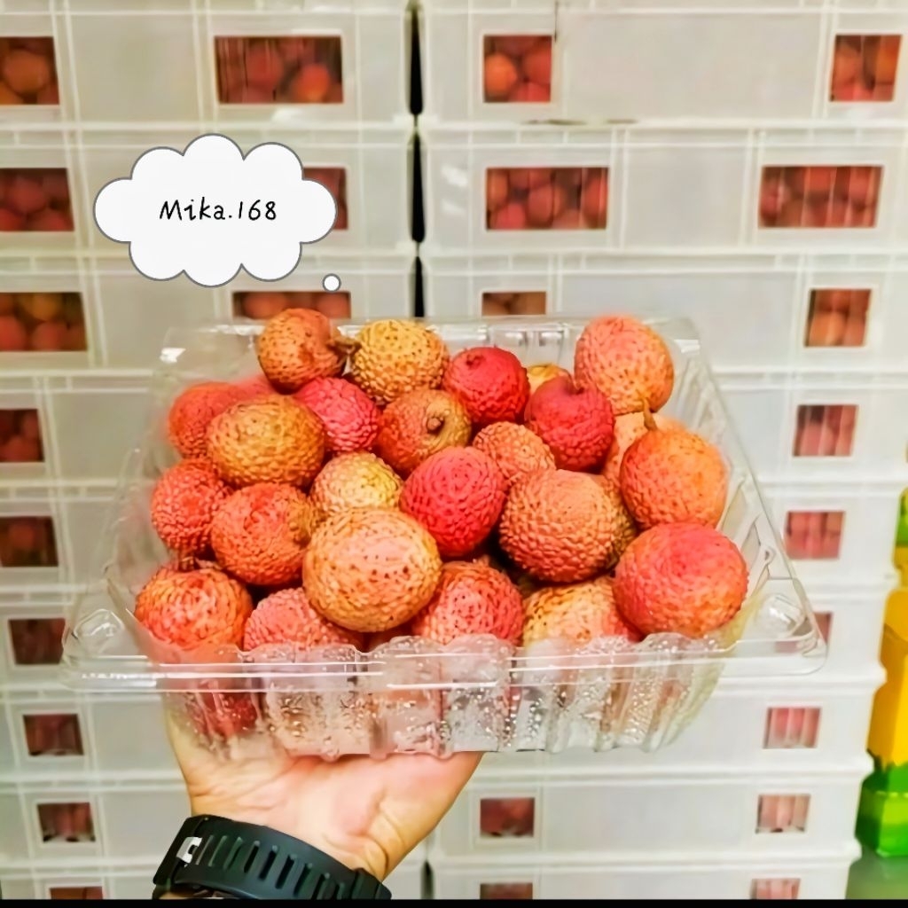 Mika buah/mika box sayur MB800