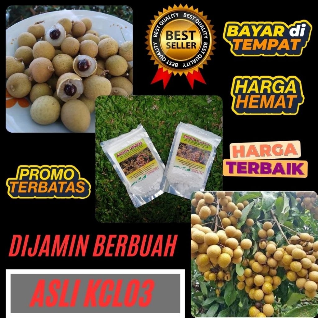 Booster Kelengkeng 1Kg