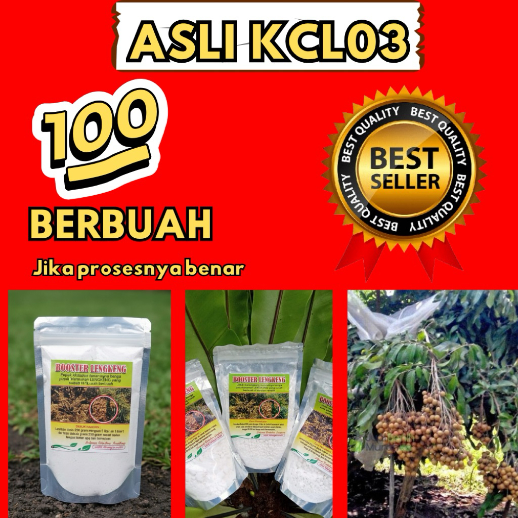 Booster Kelengkeng 1Kg