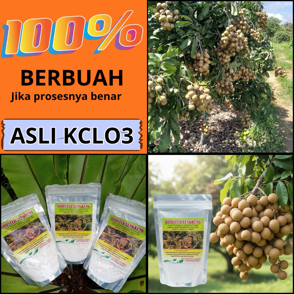 Boster Kelengkeng Kclo3