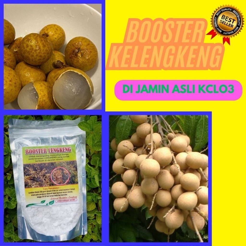 Booster Kelengkeng 1Kg