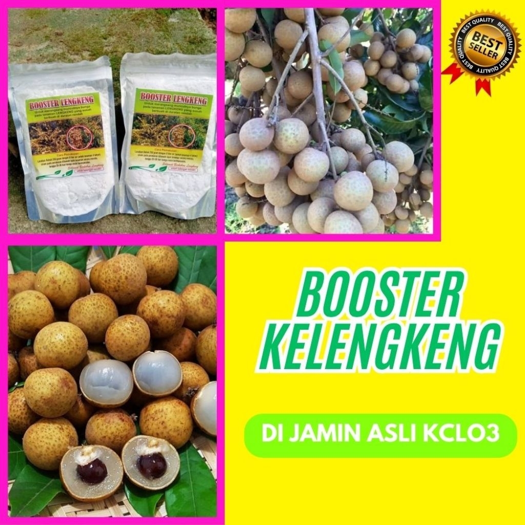Pupuk Kelengkeng Kclo3