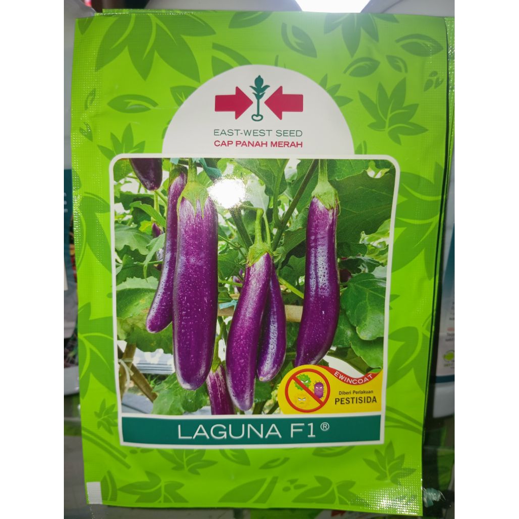 Bibit terong ungu cap Panah merah