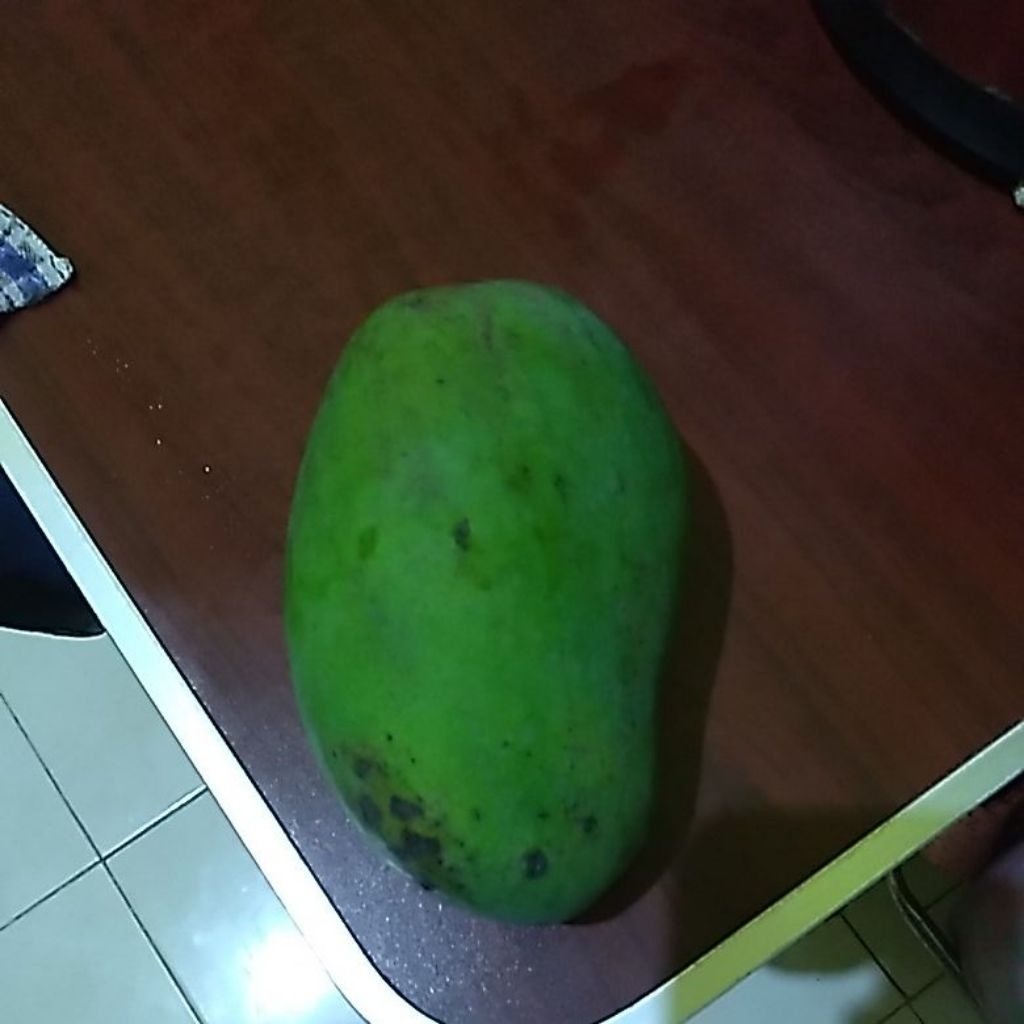 mangga gadung