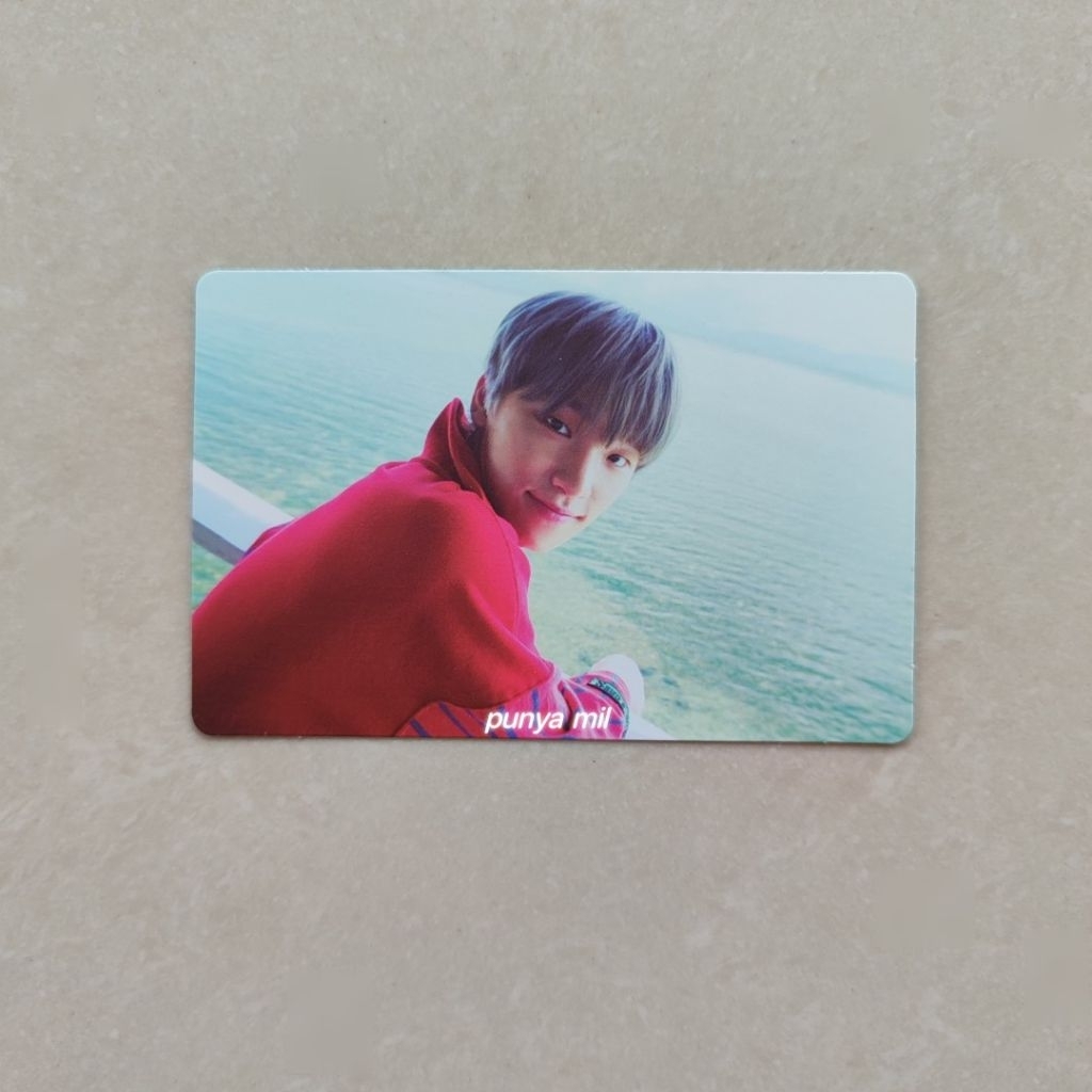 photocard dino teen age green seventeen official